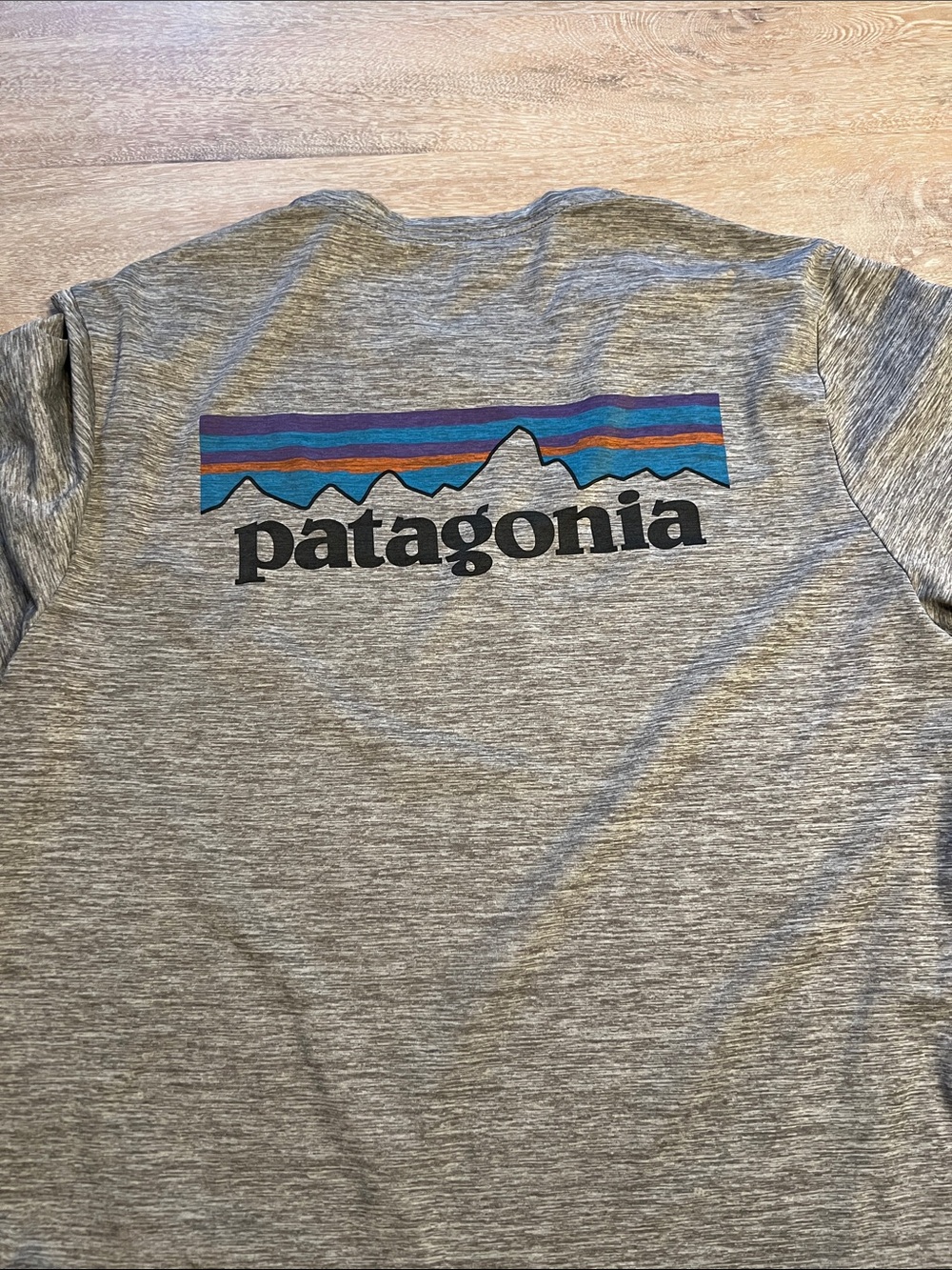 Patagonia Men's small Capilene tee EUC - Picture 2 of 2